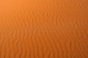 an orange sand dune in the middle of the desert
