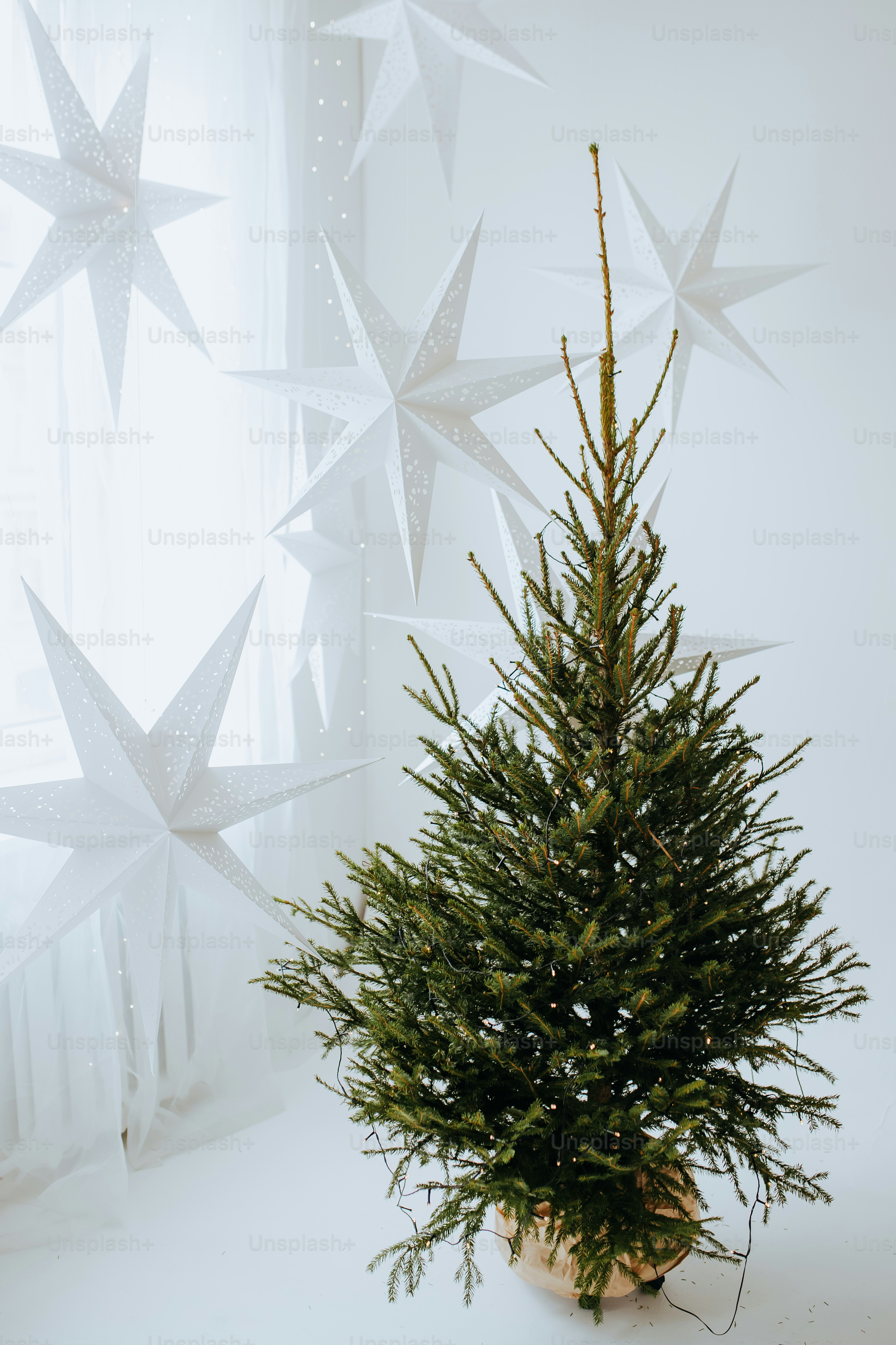 Un petit sapin de Noël dans un pot devant une fenêtre photo Sapin de