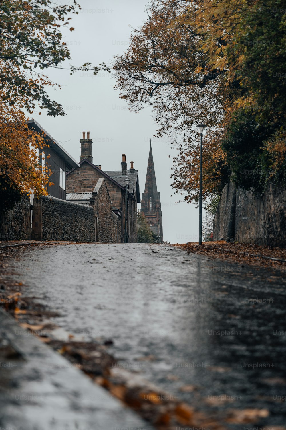 a wet street with buildings and trees in the background