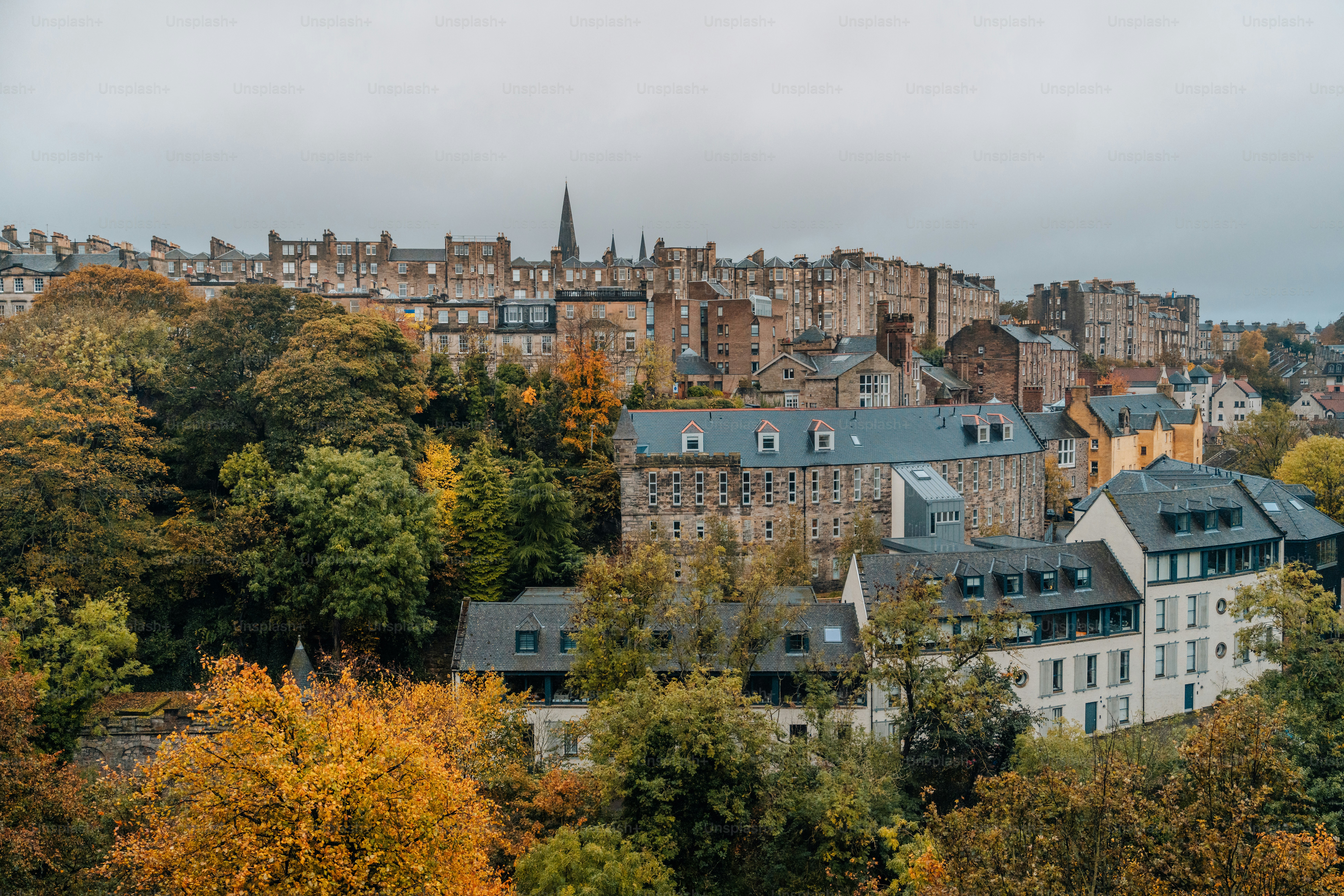 a city with lots of tall buildings surrounded by trees