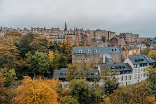 a city with lots of tall buildings surrounded by trees