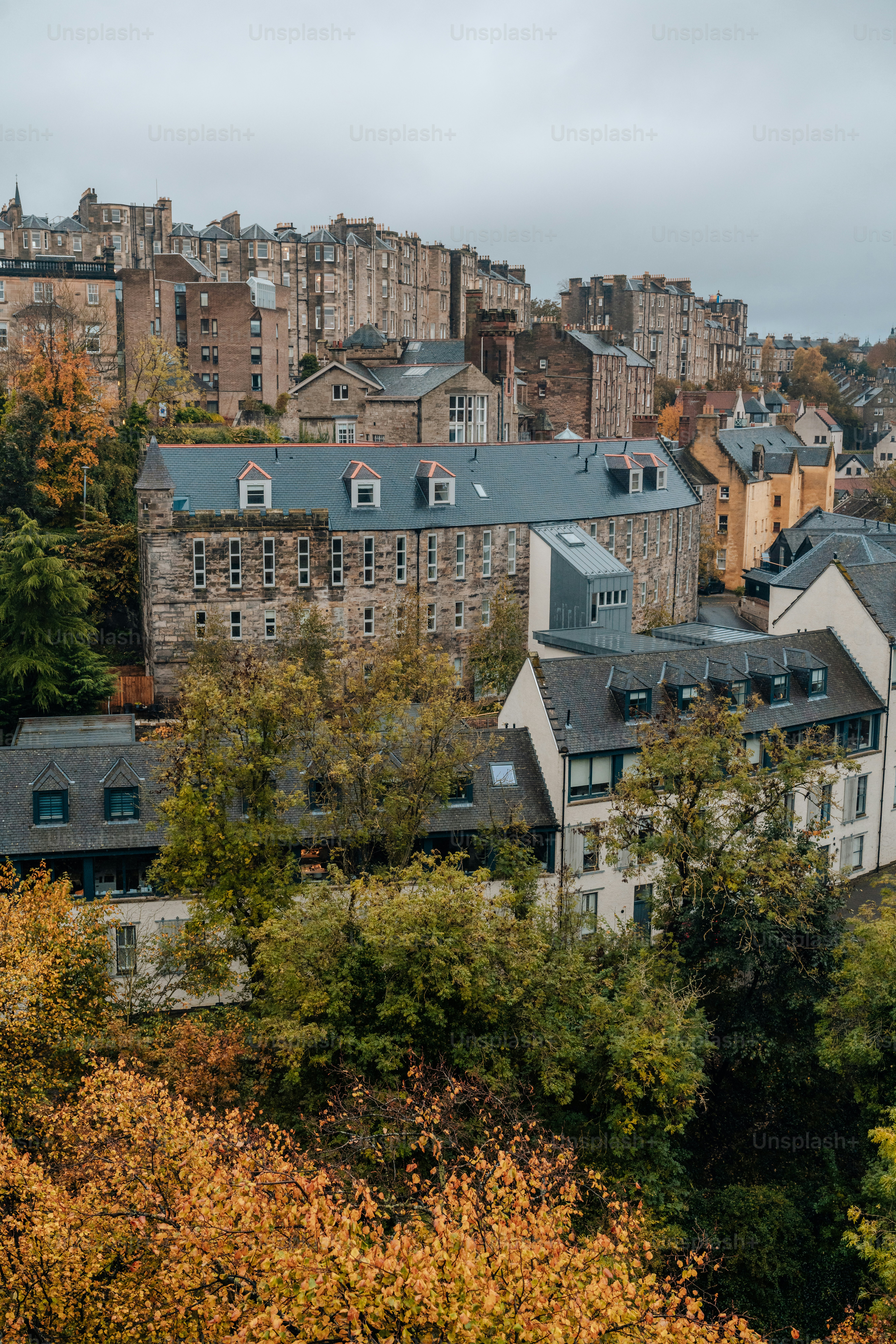 a city with lots of tall buildings and lots of trees