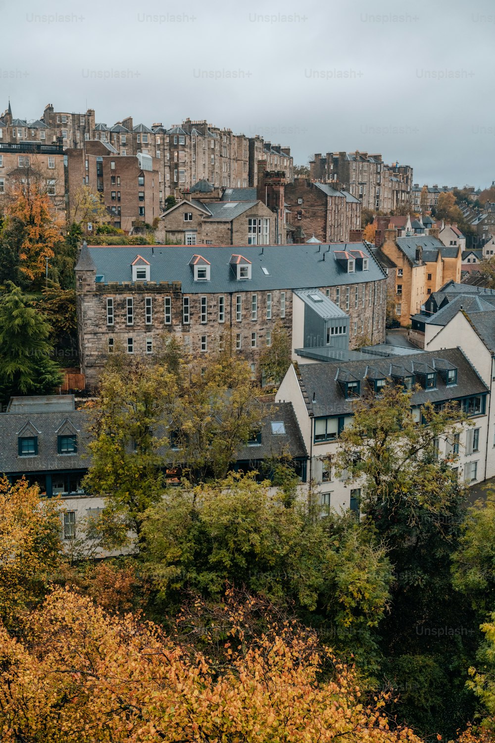 Una ciudad con muchos edificios altos y muchos árboles