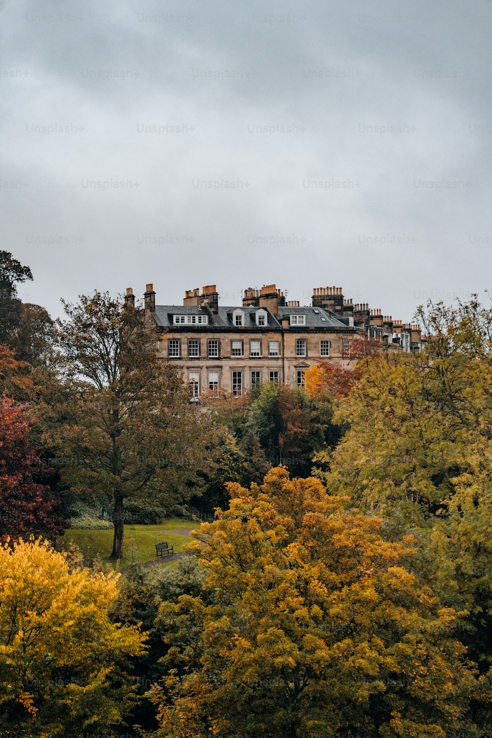 a large building surrounded by lots of trees