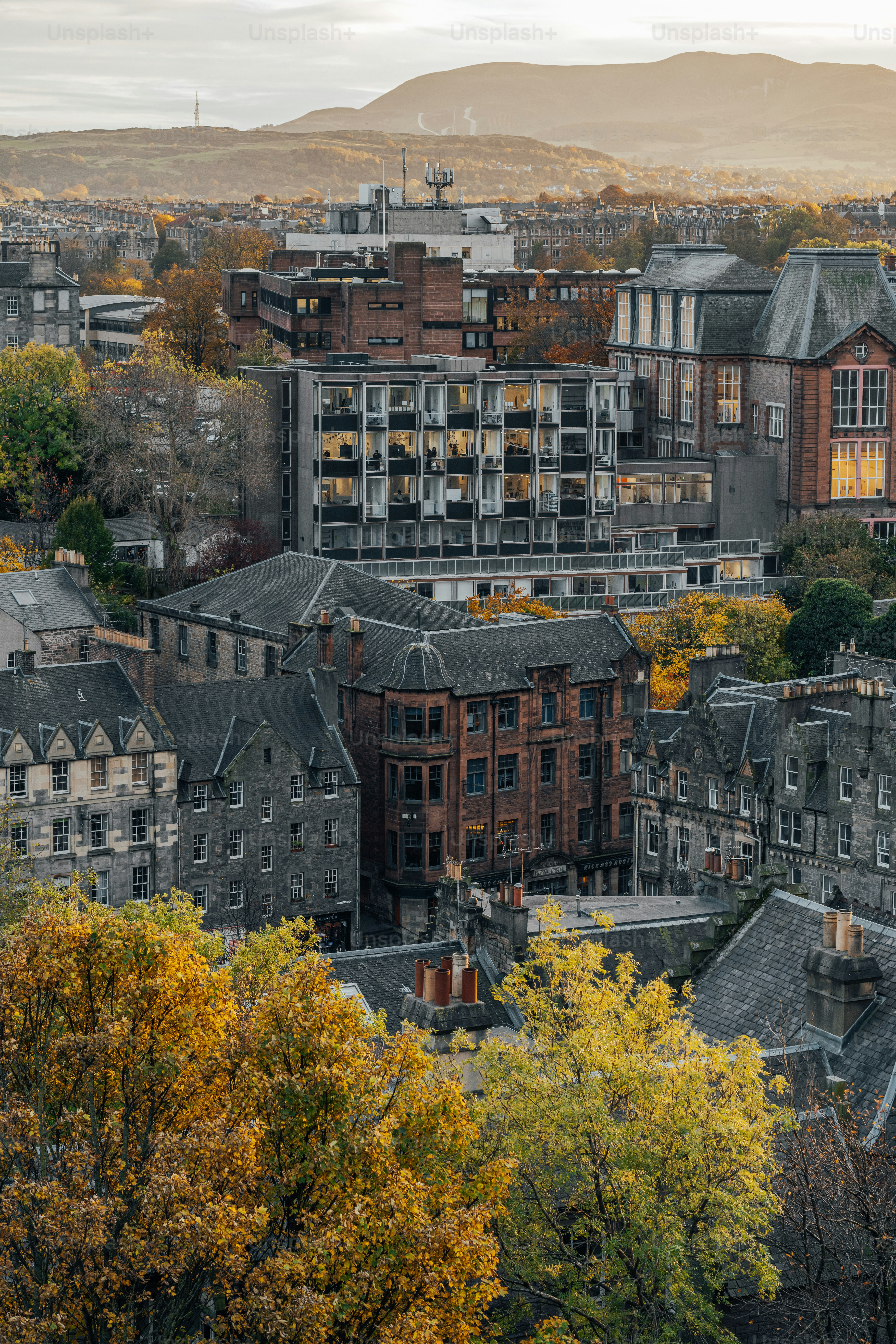 Une ville avec beaucoup de grands immeubles