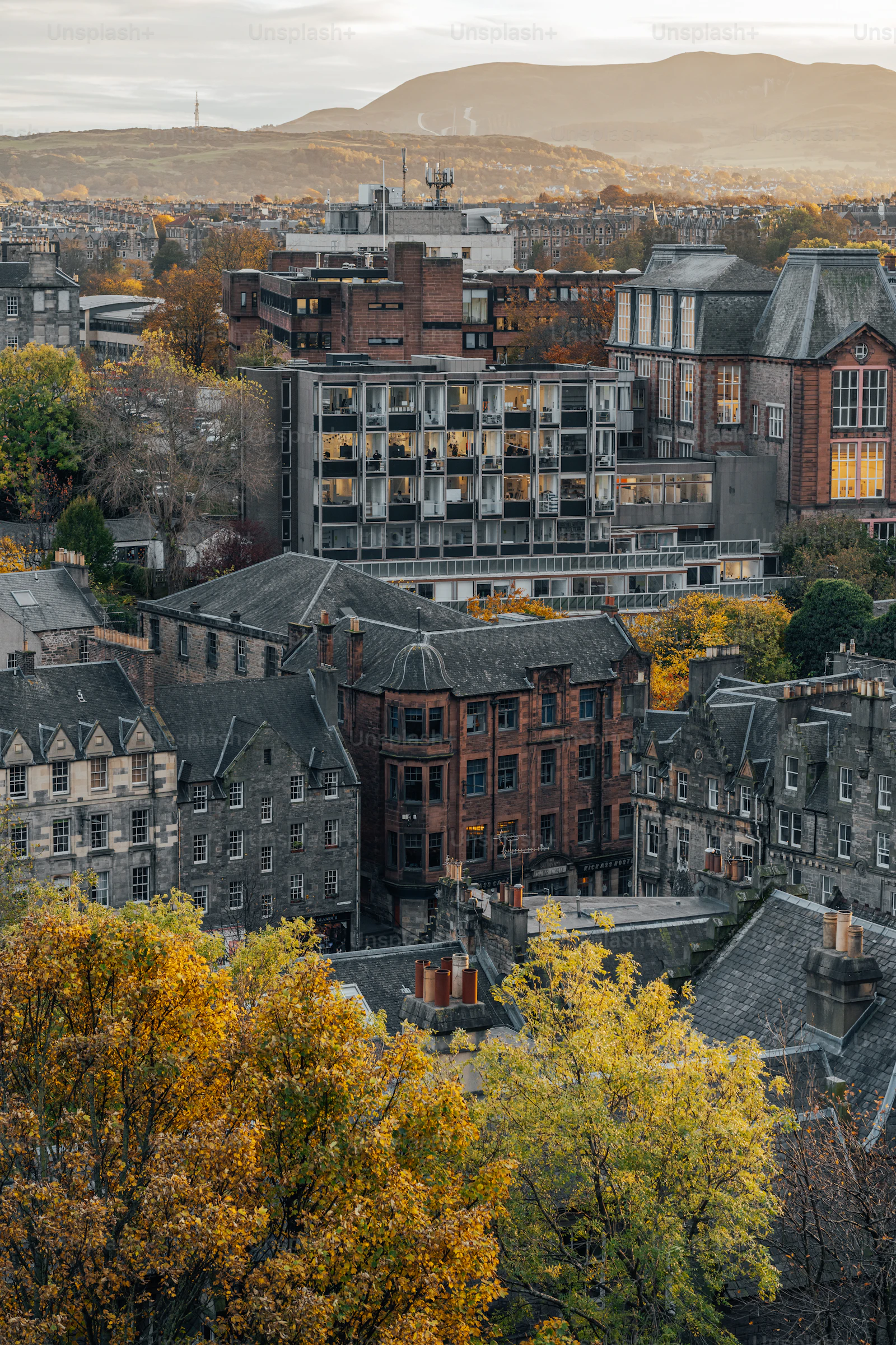 Stirling - 3