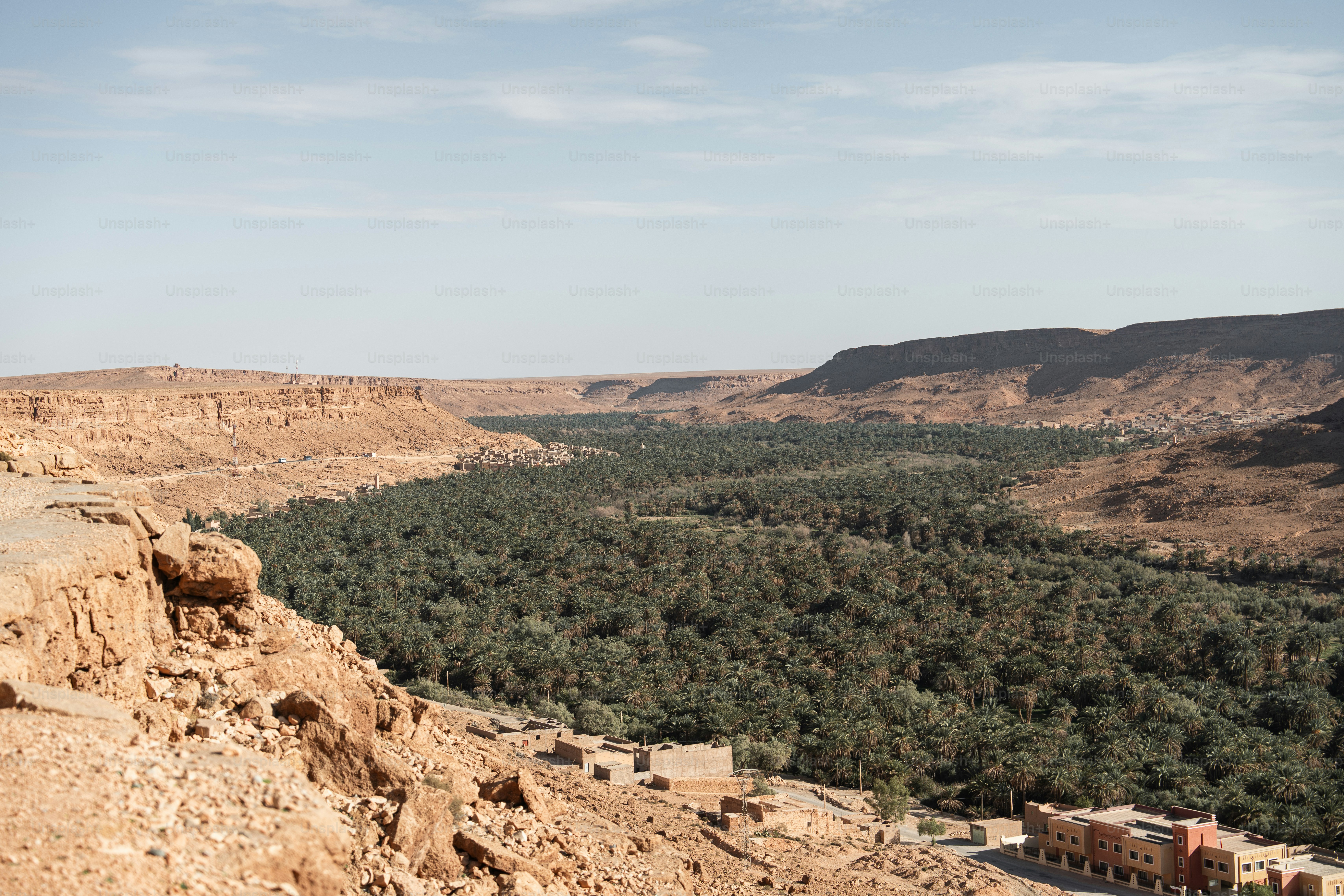 a scenic view of a valley with trees in the distance