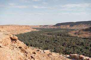 a scenic view of a valley with trees in the distance