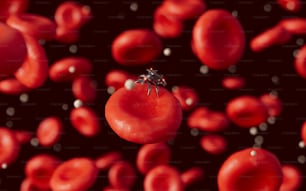 eine rote Tomate mit einer winzigen Spinne darauf