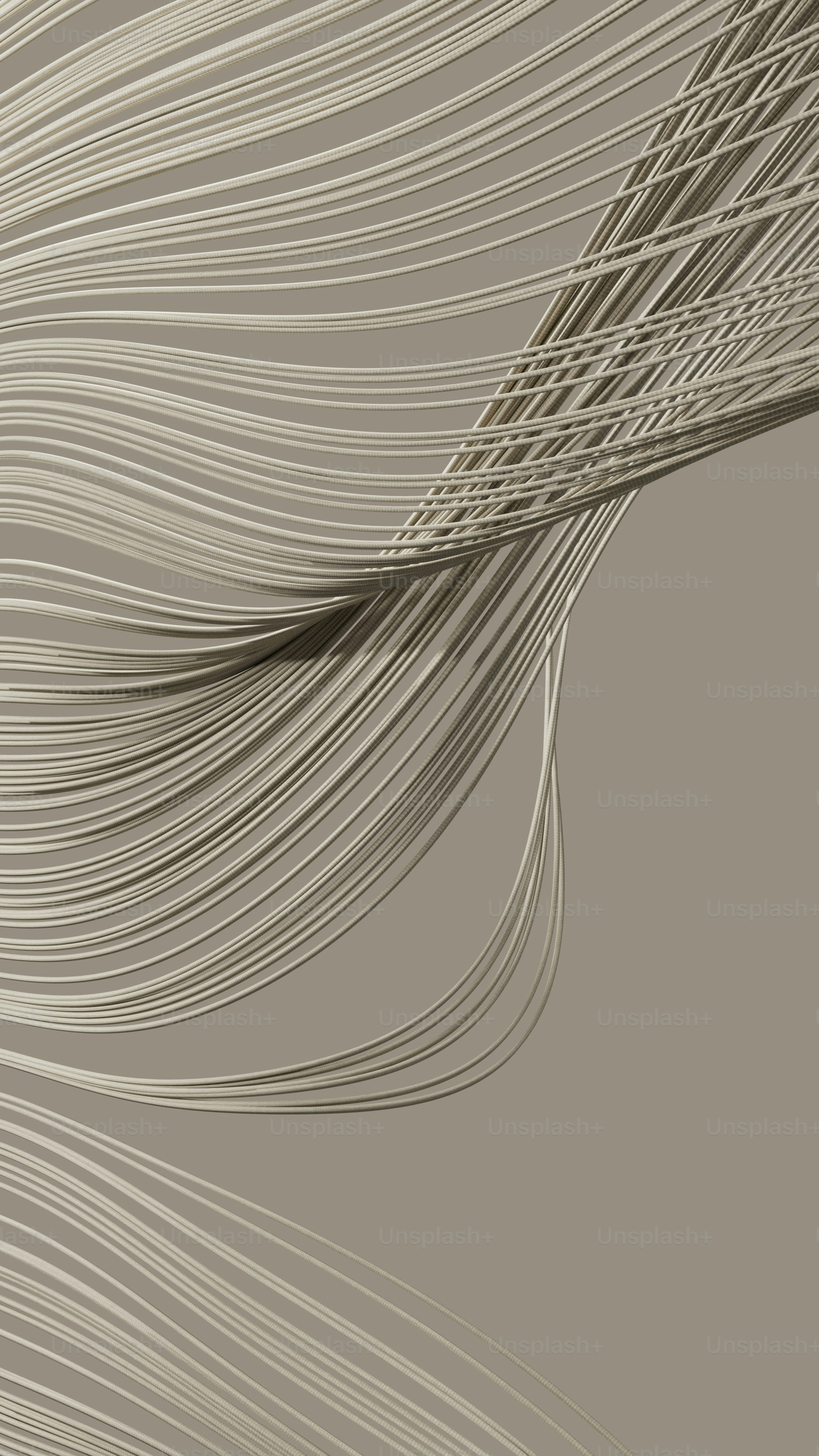 a gray and white photo of a feather