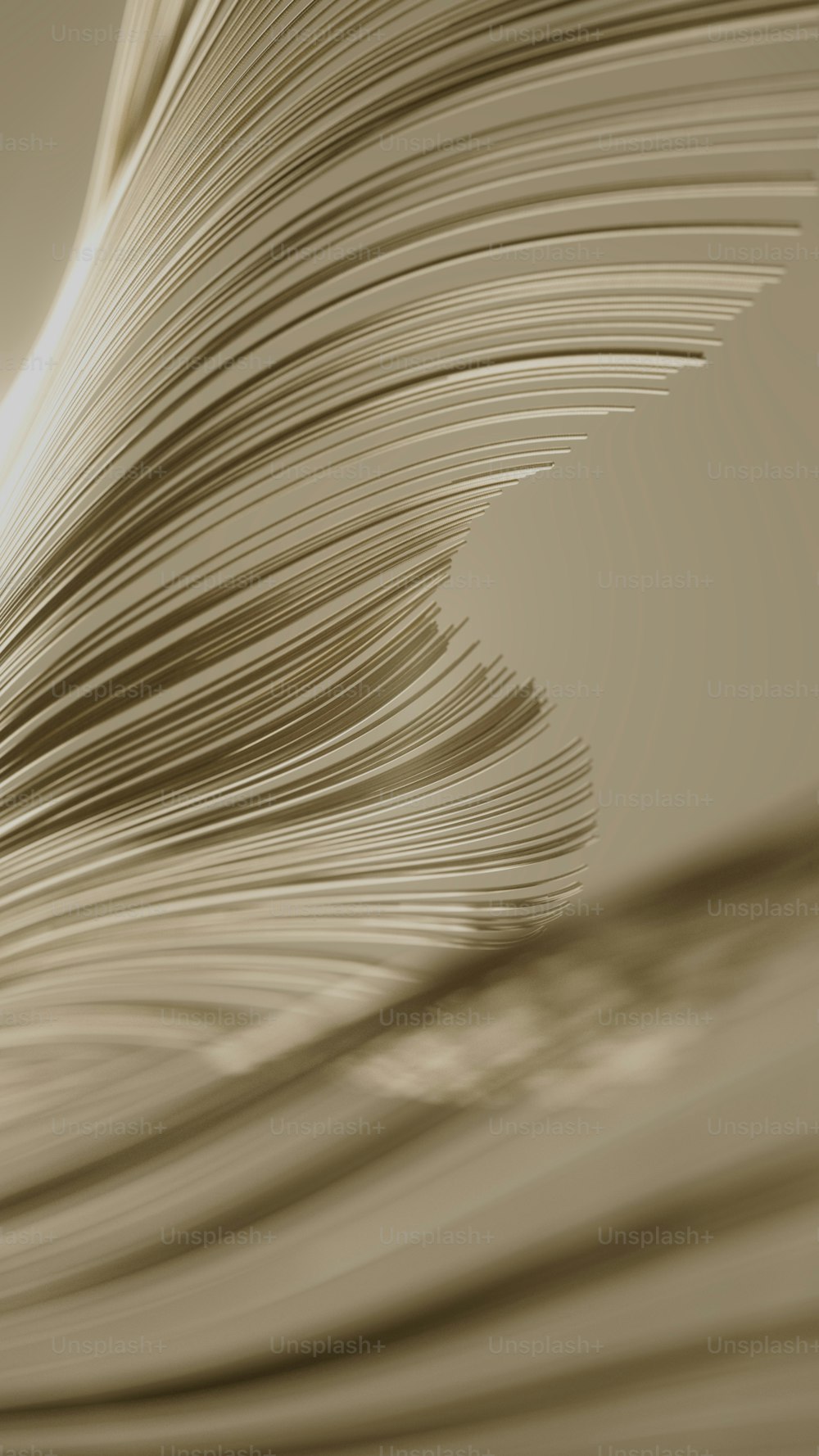 a close up of a book with a blurry background