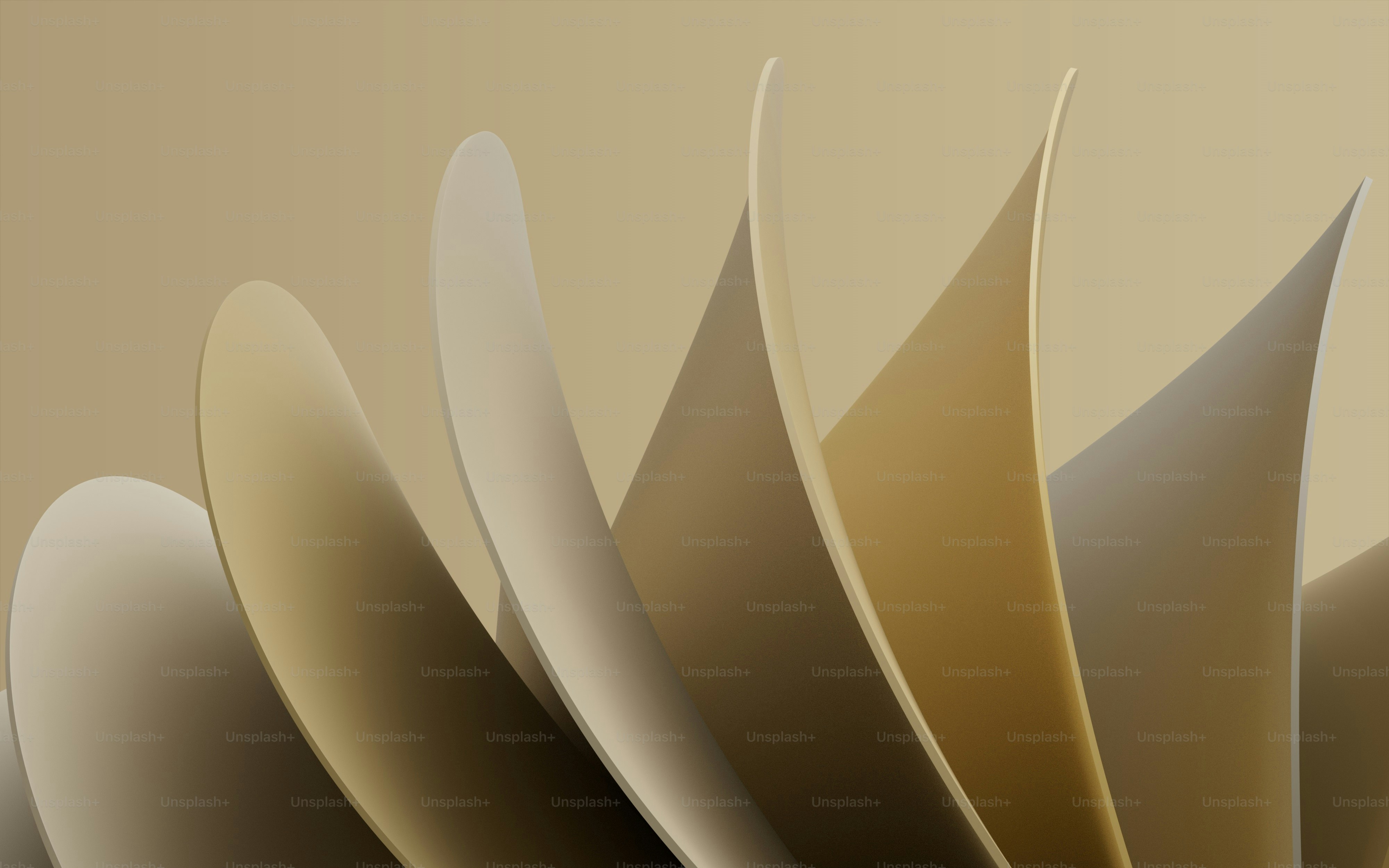 Eine Nahaufnahme eines aufgeschlagenen Buches auf einem Tisch