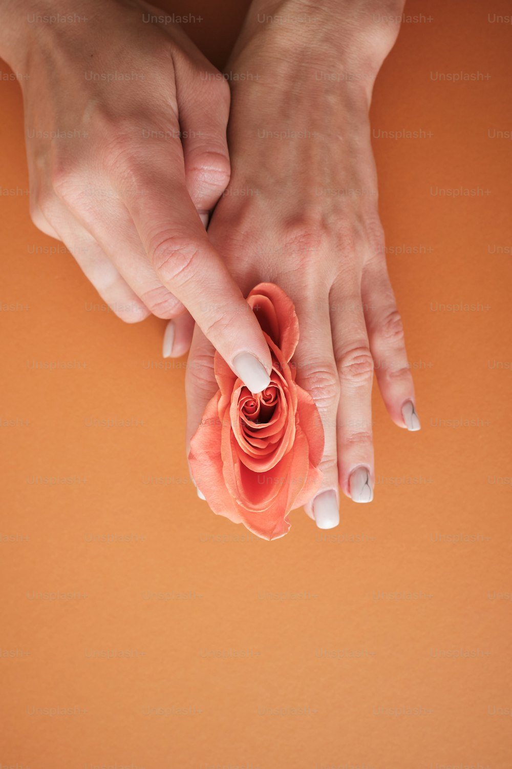 una mujer sosteniendo una flor en sus manos
