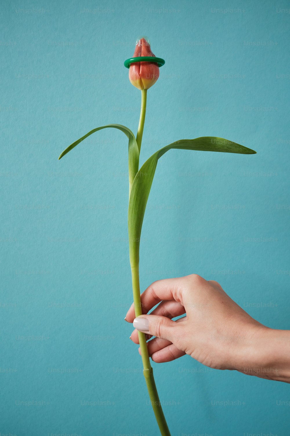 una persona sosteniendo una flor en la mano