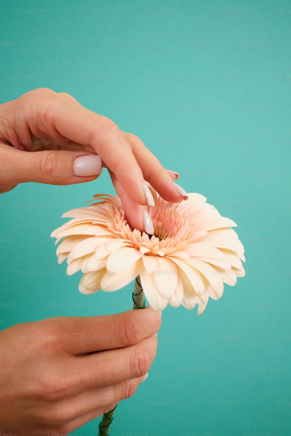 a woman is holding a flower in her hands
