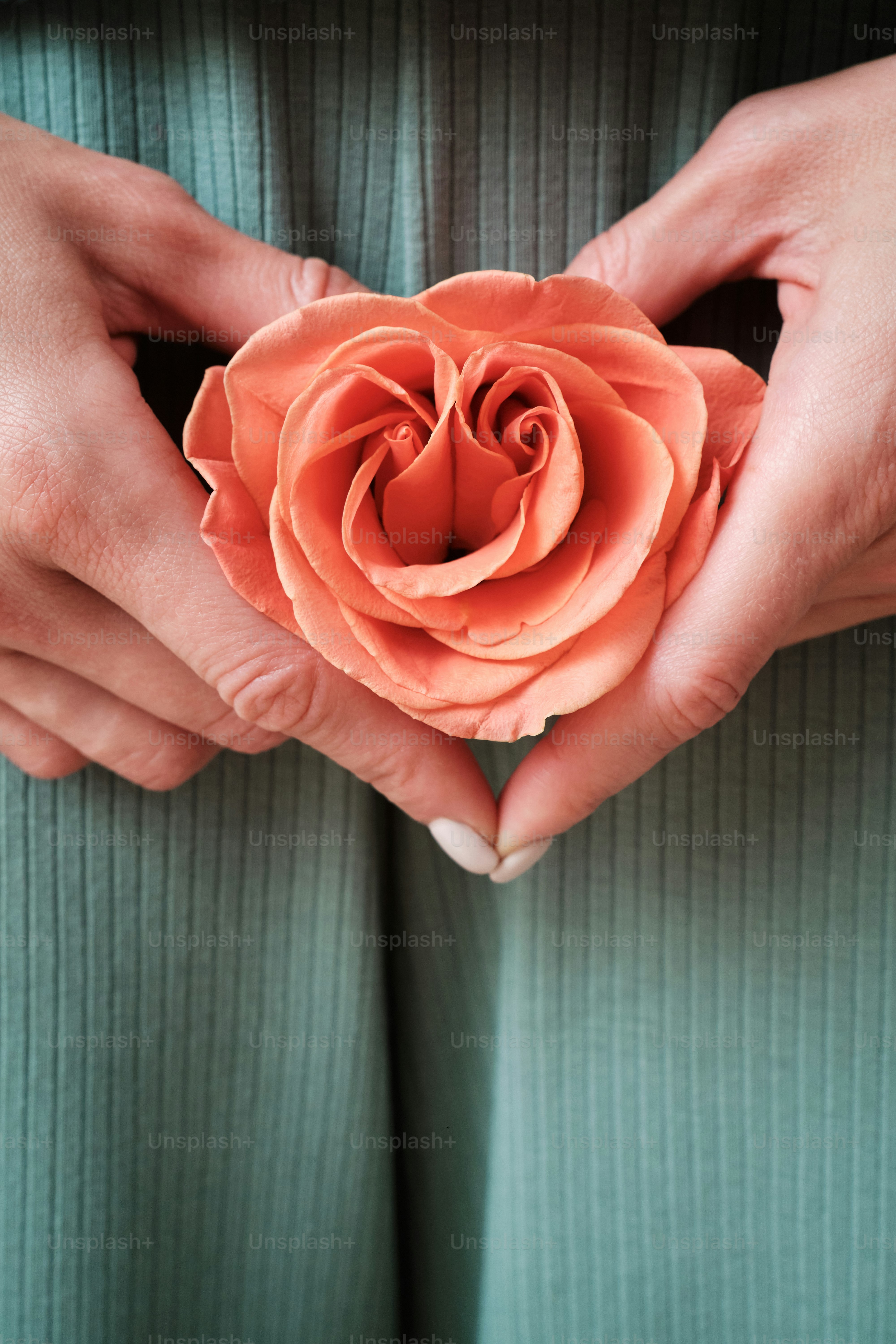 a woman's hand touches her delicate flower