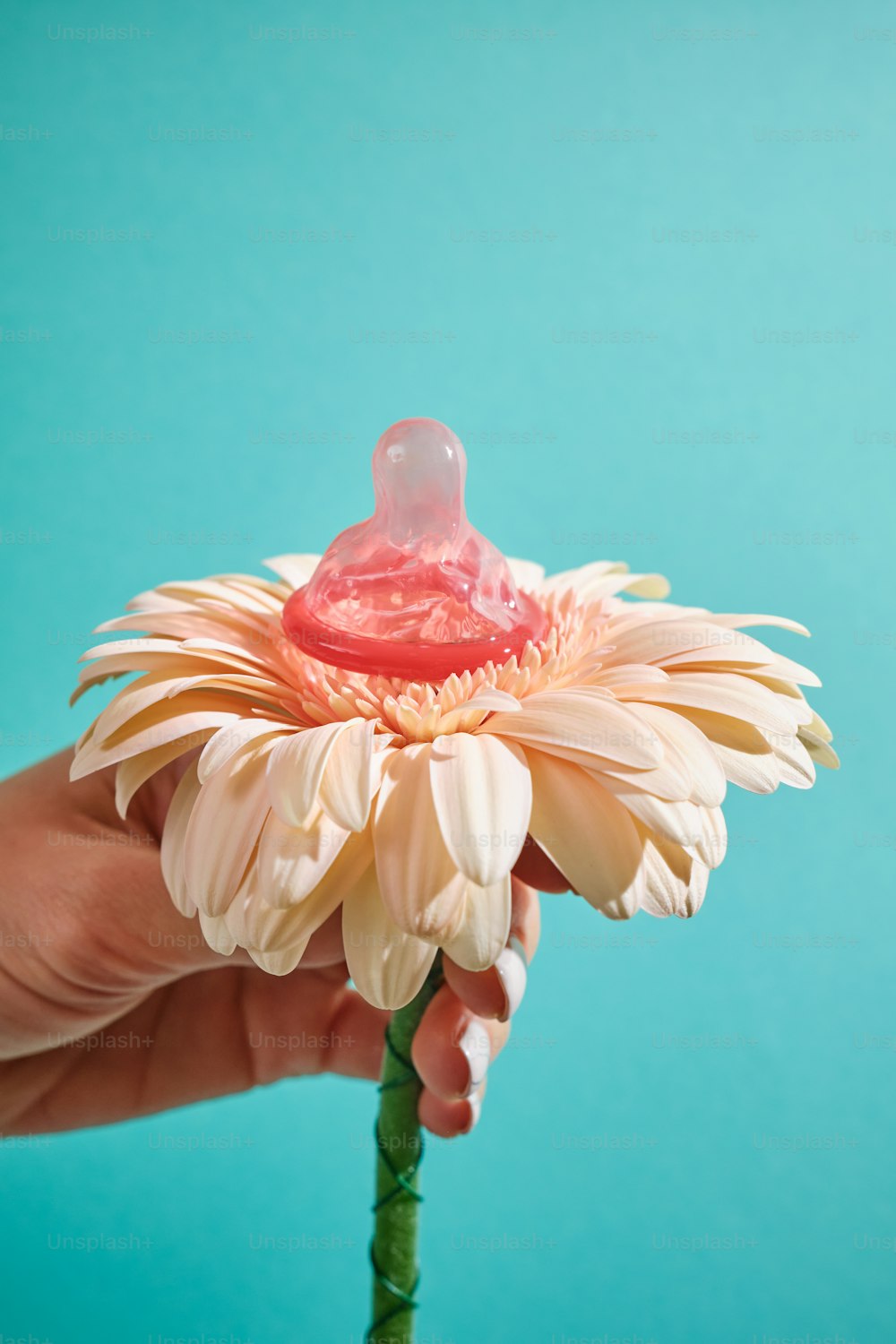 a person holding a flower with a pacifier in it