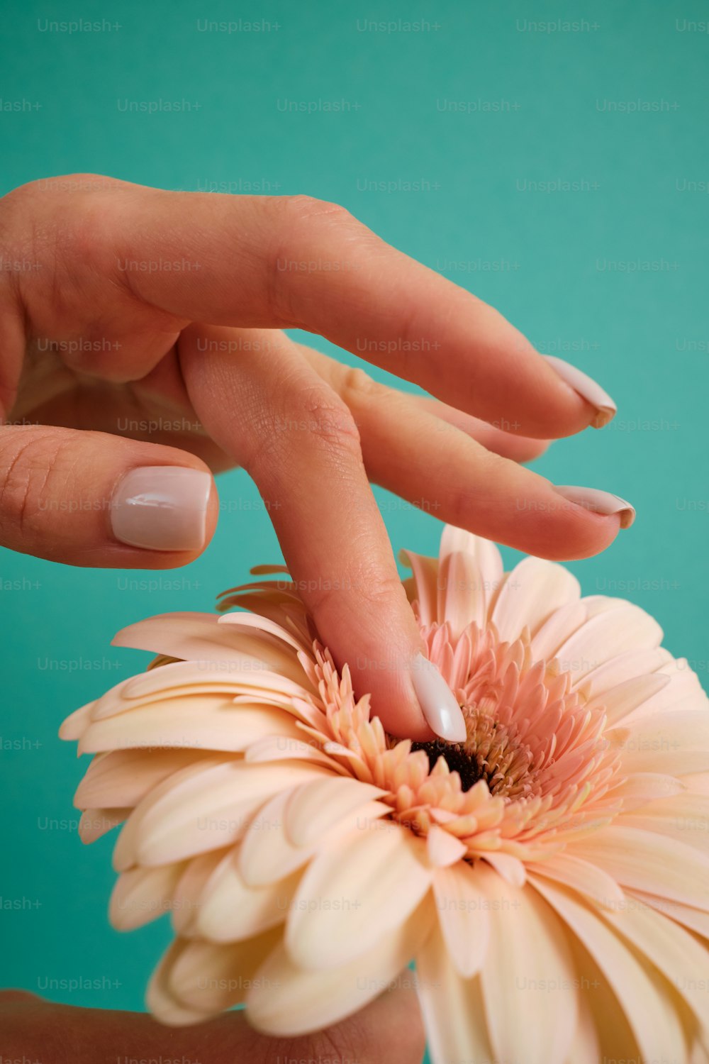 a woman's hand touching a flower with her fingers