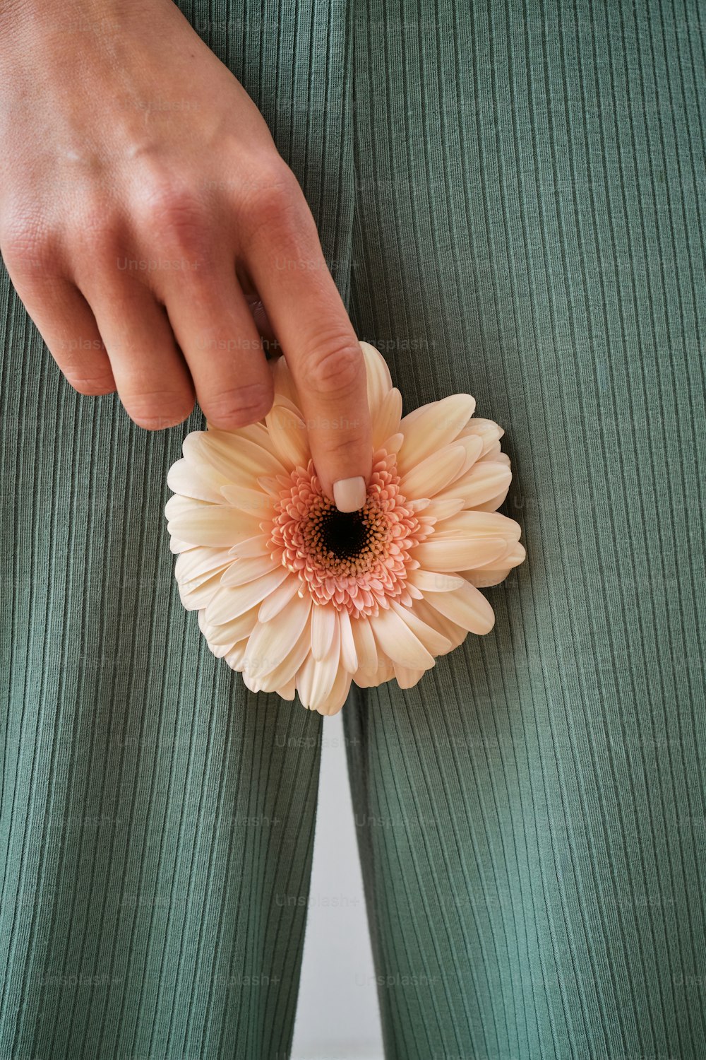 uma pessoa segurando uma flor na mão