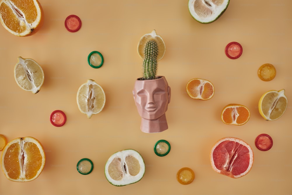 a plant in a clay head surrounded by citrus slices