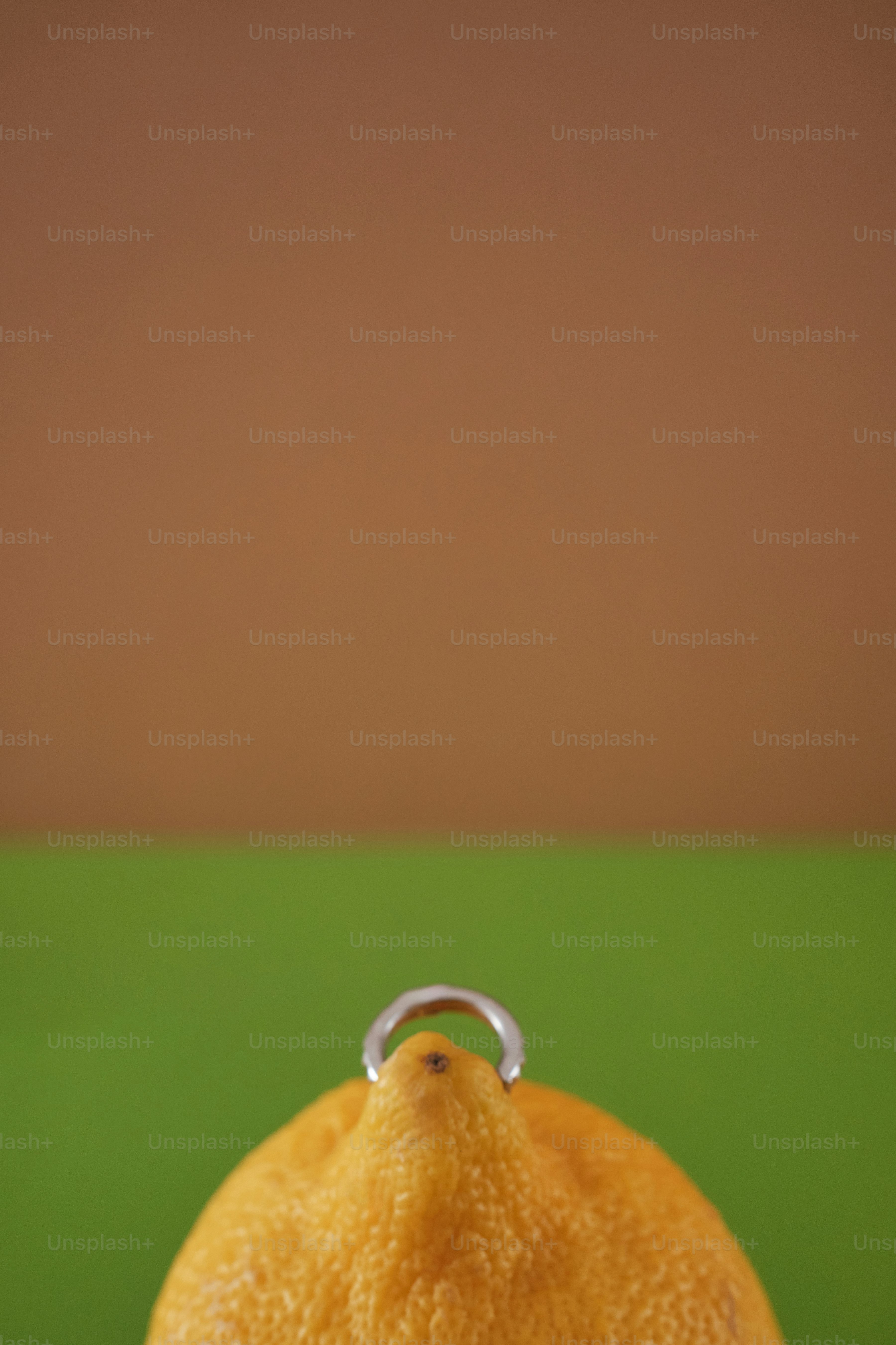 premium_photo-1700028097815-d42c0267bcae?ixid=M3wxMjA3fDB8MXxzZWFyY2h8NHx8JUVDJUI2JTlDJUVDJTlFJUE1JUVCJUE3JTg4JUVDJTgyJUFDJUVDJUE3JTgwfGVufDB8fHx8MTc0MDc2MzY0N3ww\u0026ixlib=rb-4.0.3