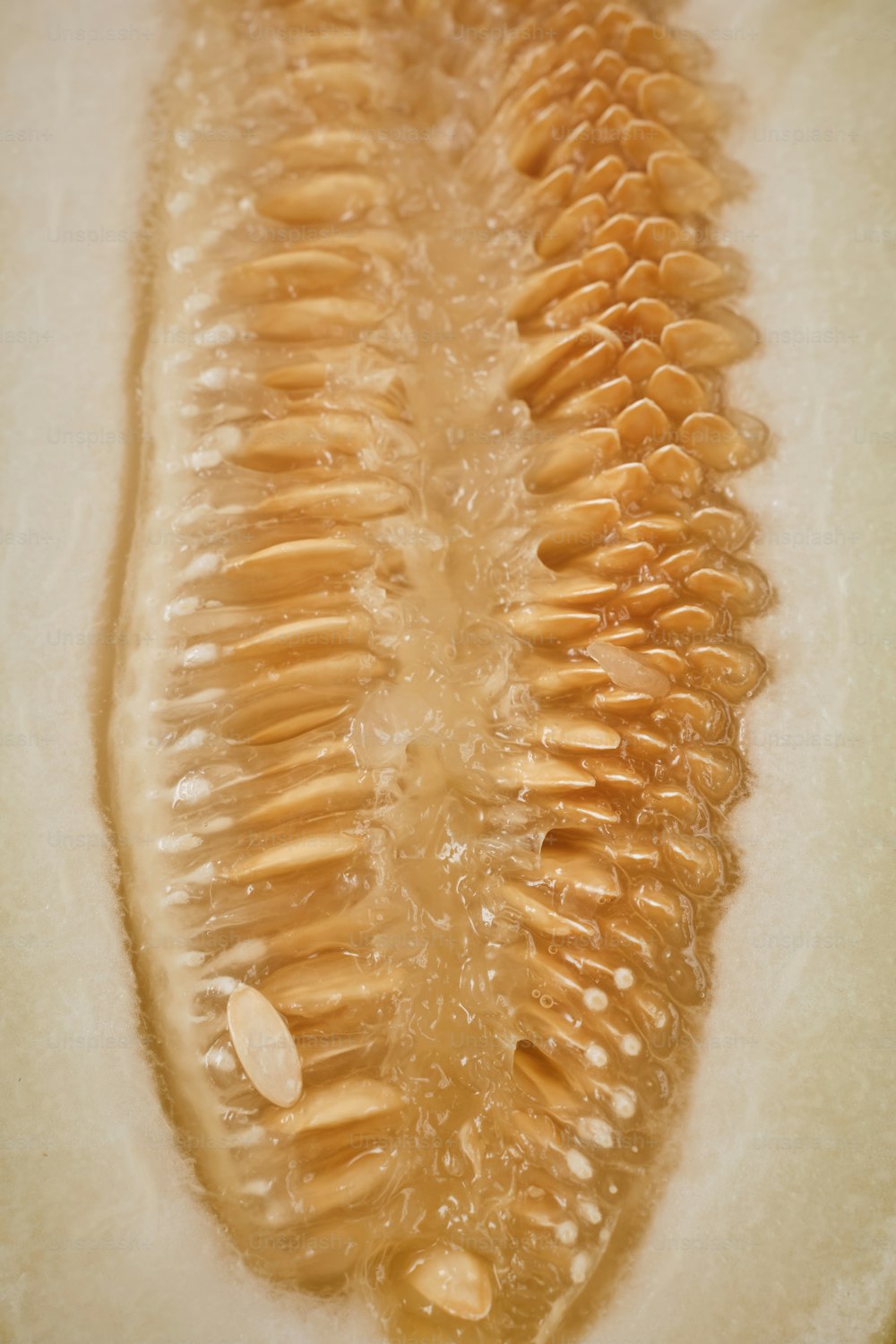 a close up of a piece of fruit on a table