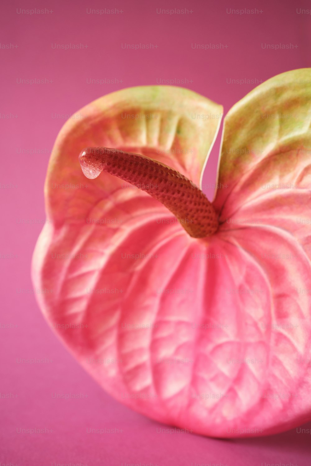 a close up of a pink apple with a green leaf