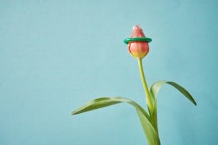 a flower that is sitting in a vase