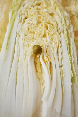 a close up of a long piece of food
