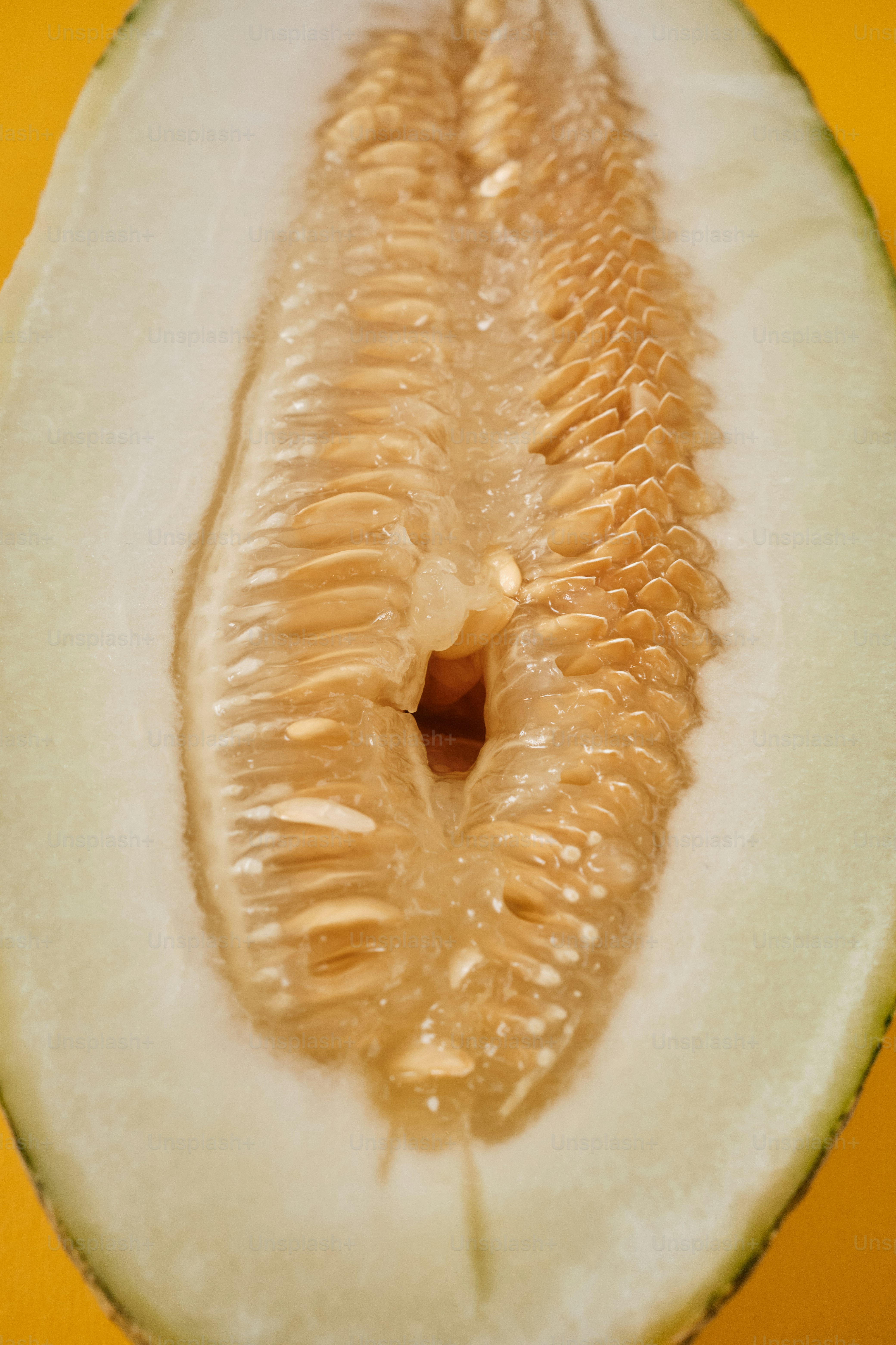 vulva-like melon