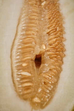 a close up of a sliced kiwi fruit