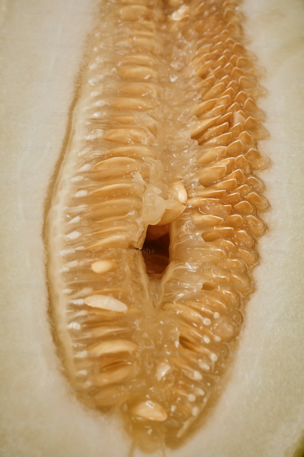 a close up of a sliced kiwi fruit