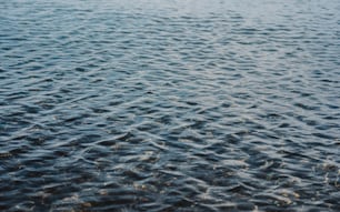 Un primer plano de un cuerpo de agua con ondulaciones