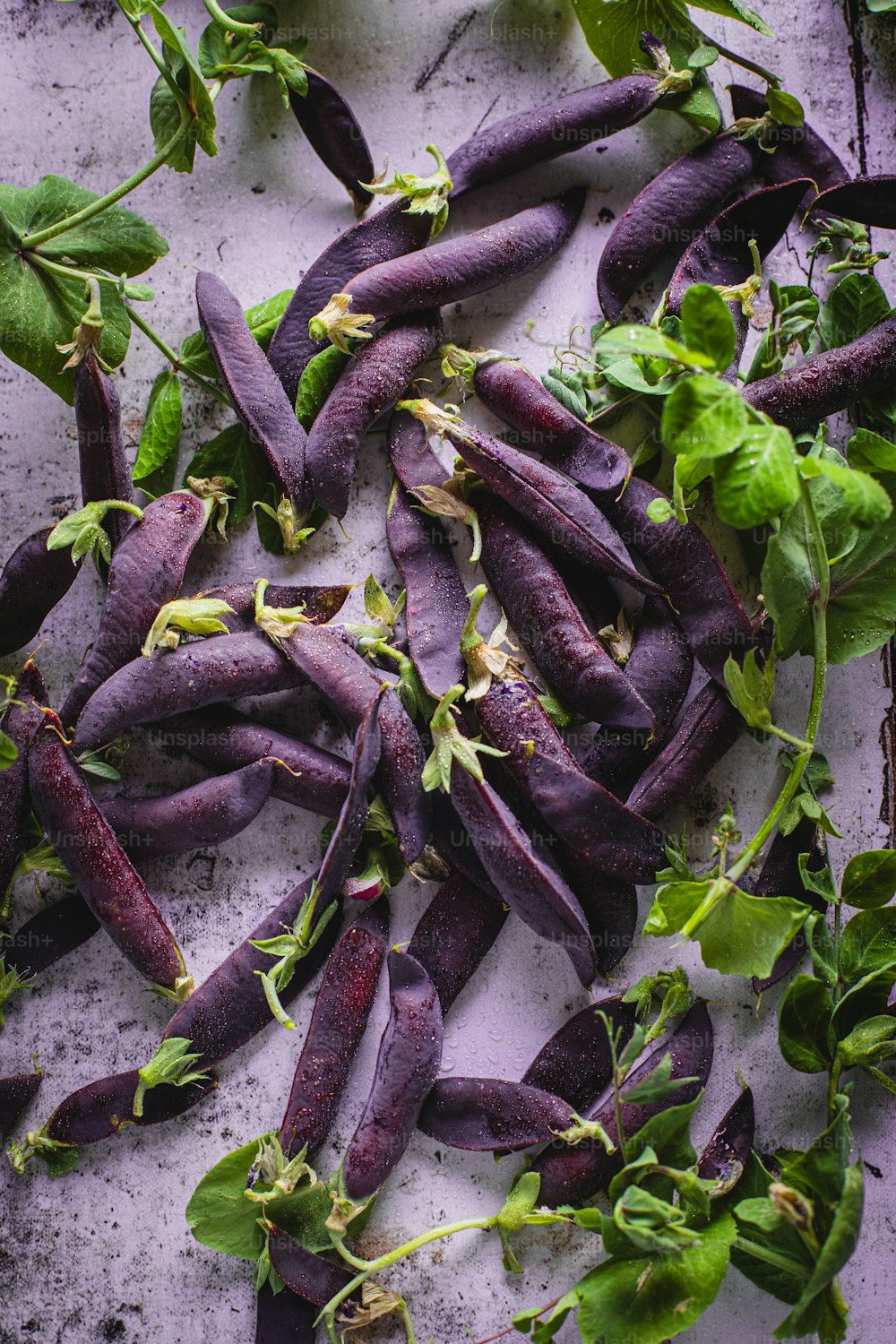 テーブルの上の紫色の豆の束