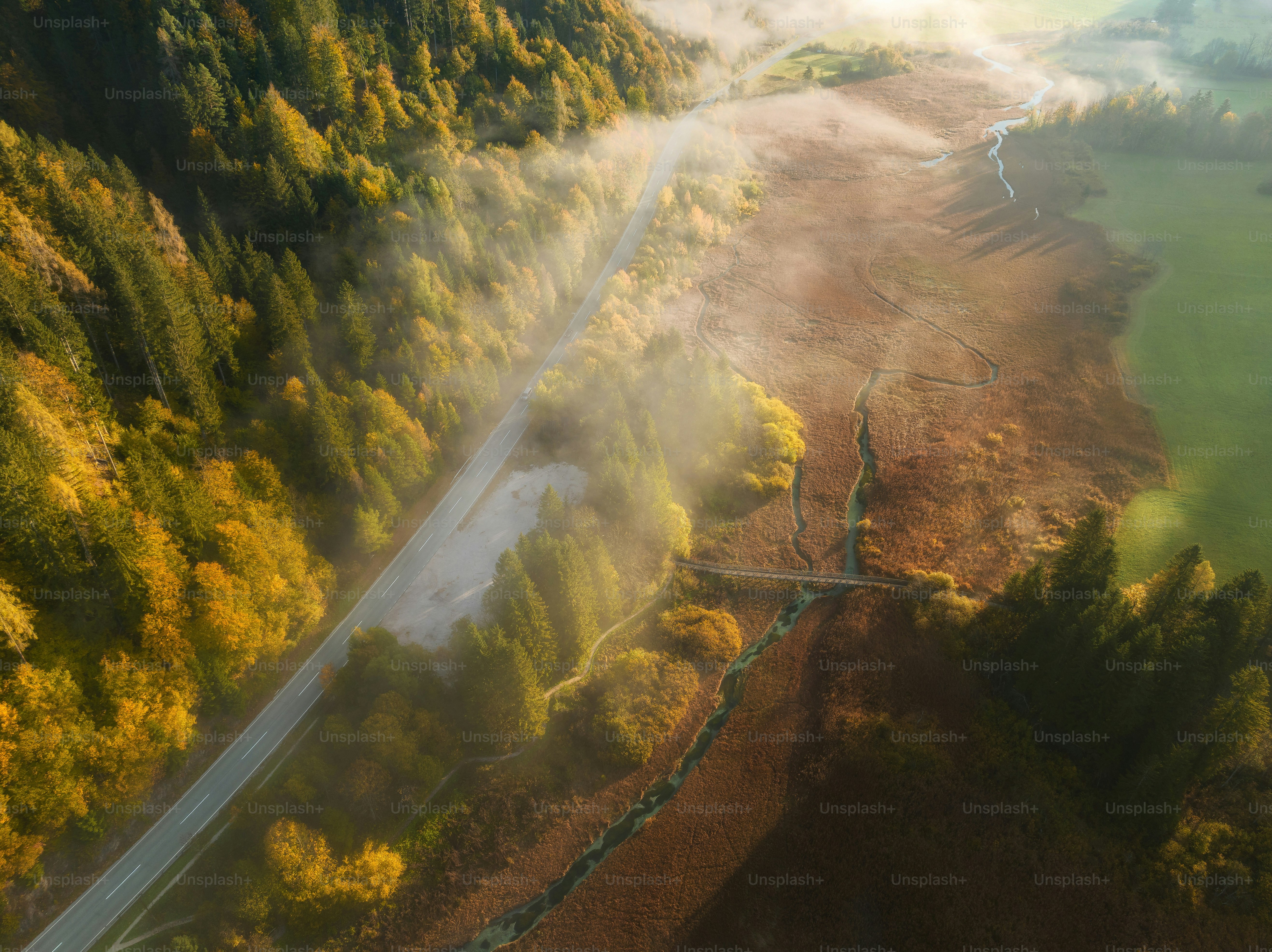 una vista aerea di una strada circondata da alberi