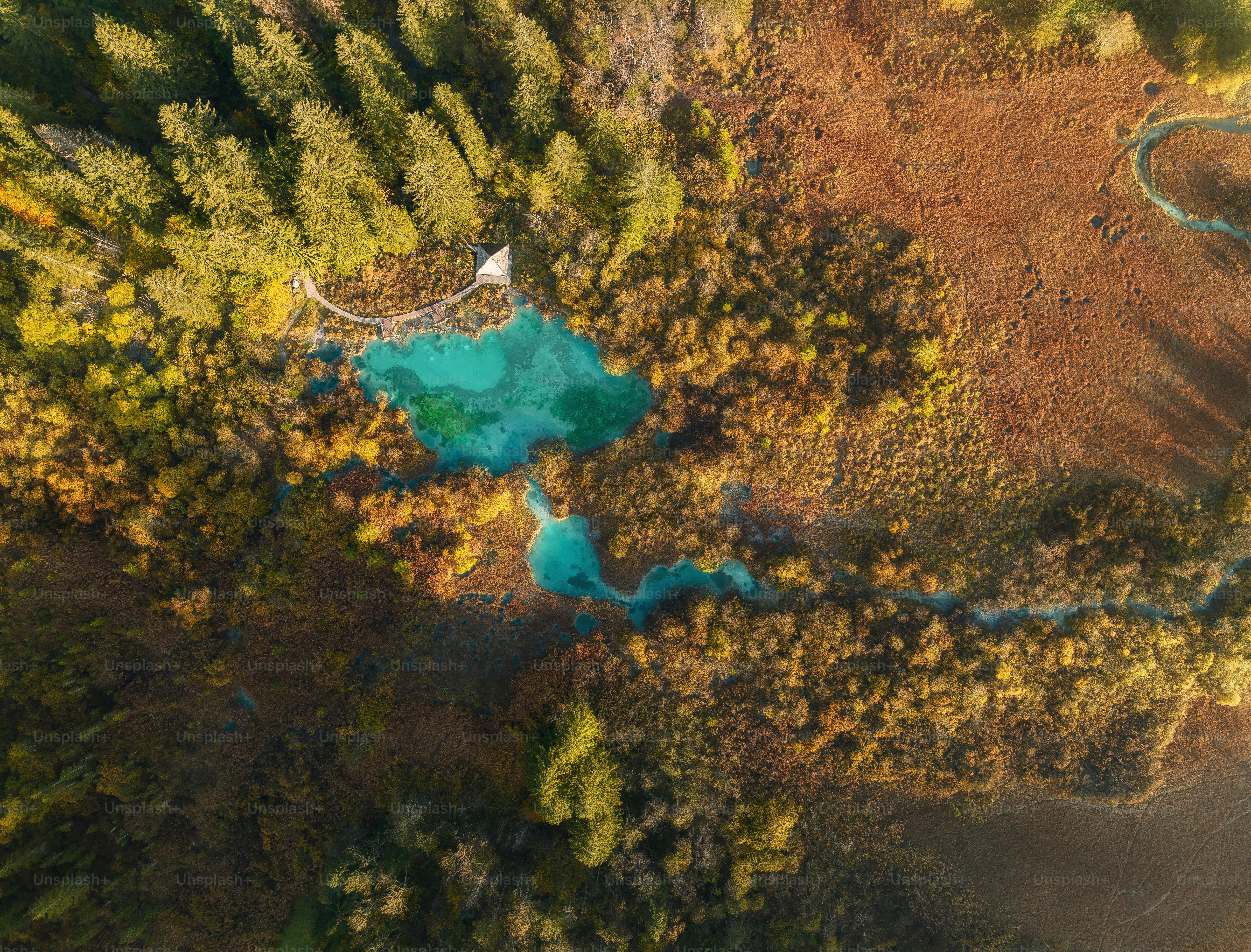 Una veduta aerea di un lago circondato da alberi