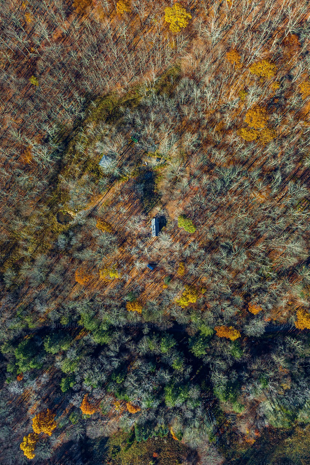 a bird's eye view of a wooded area