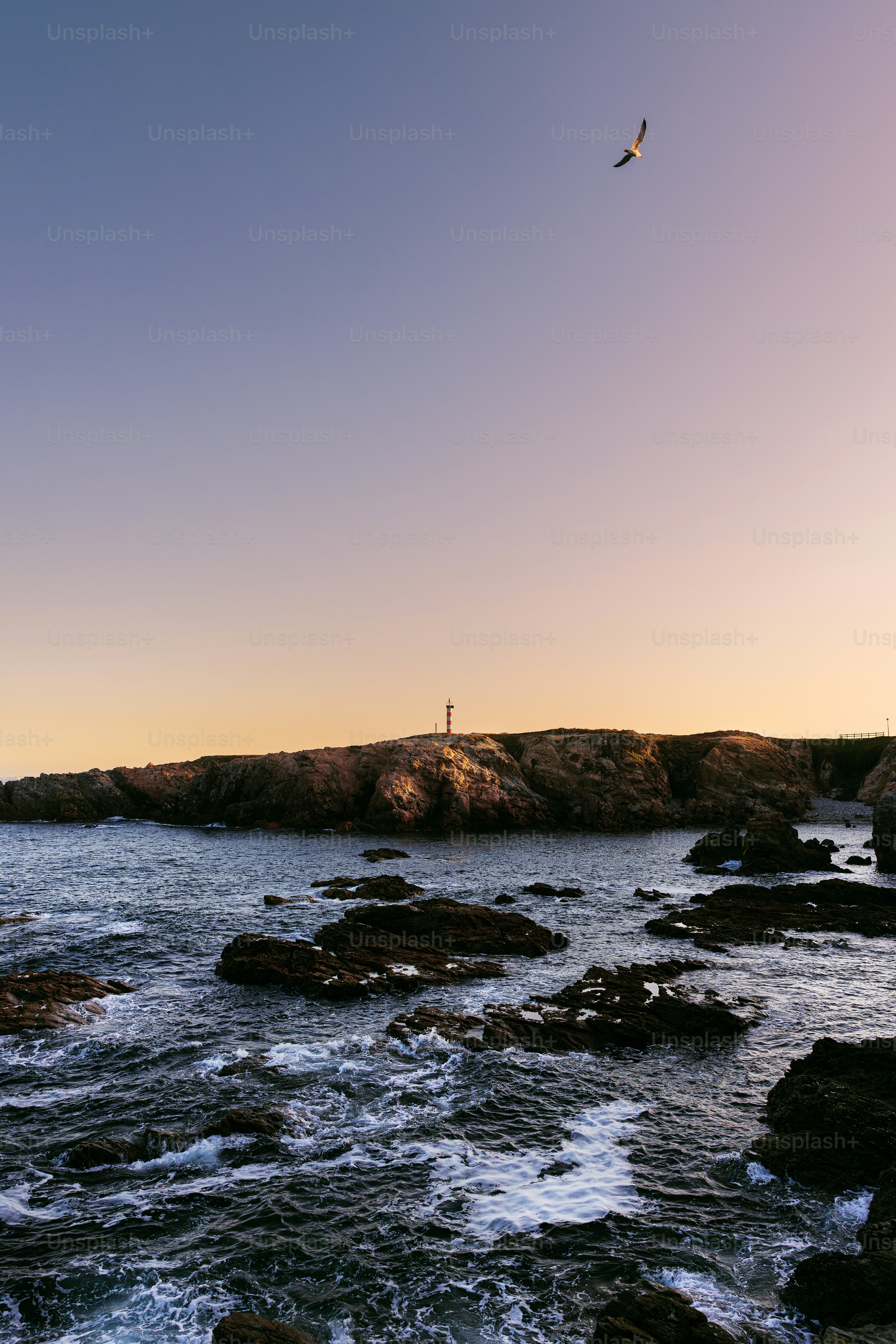 a bird flying over a body of water