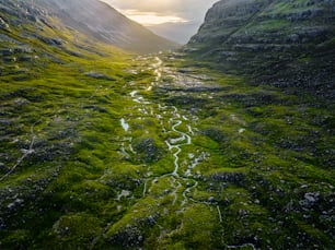 a river running through a lush green valley