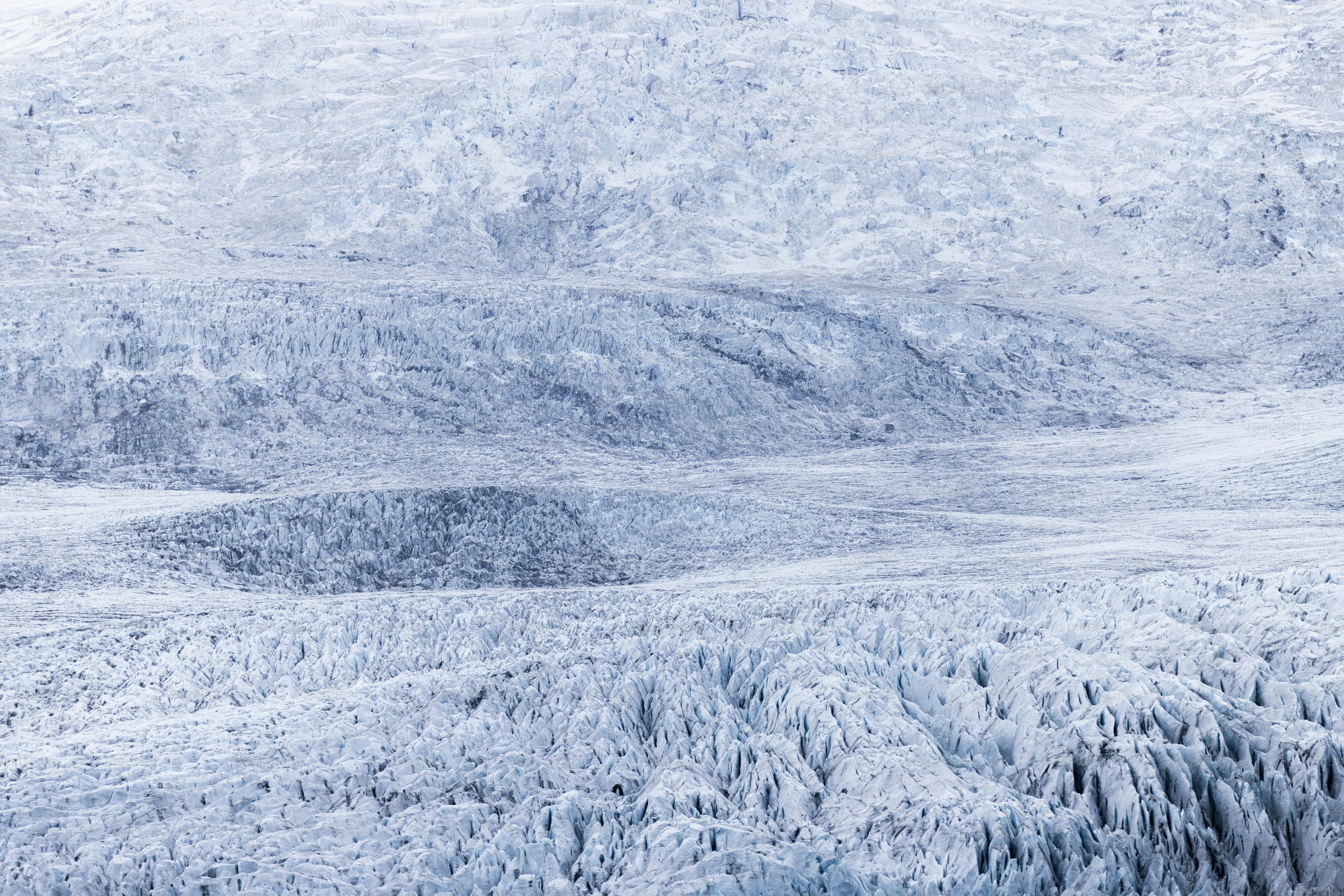 a group of animals standing on top of a snow covered mountain