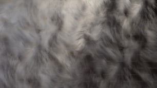 a black and white photo of a fur texture