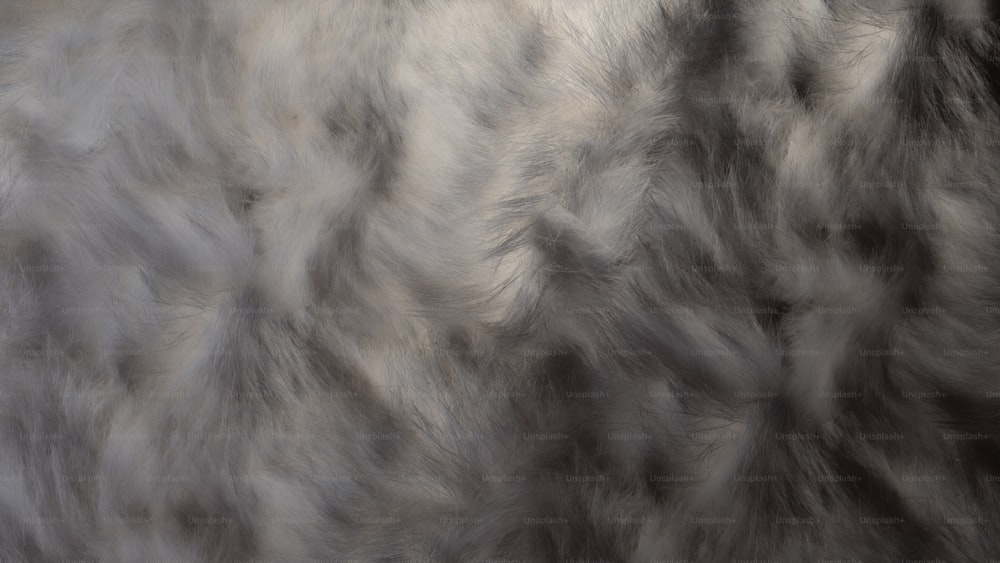 a black and white photo of a fur texture