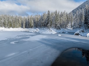 a snow covered river surrounded by pine trees