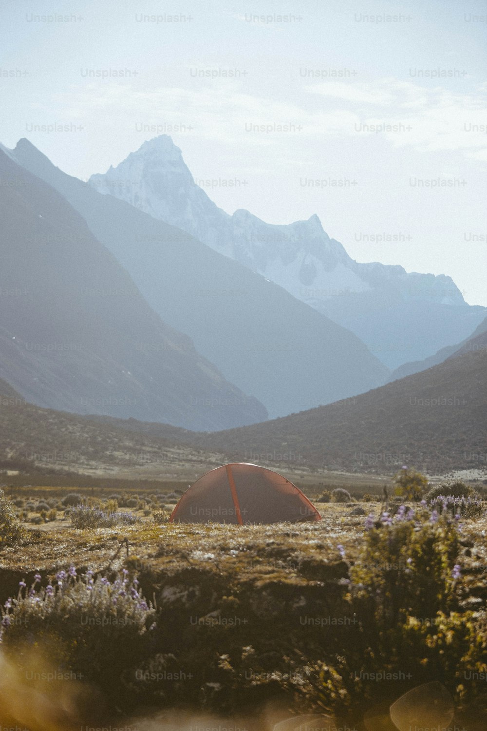 a tent in a field with mountains in the background