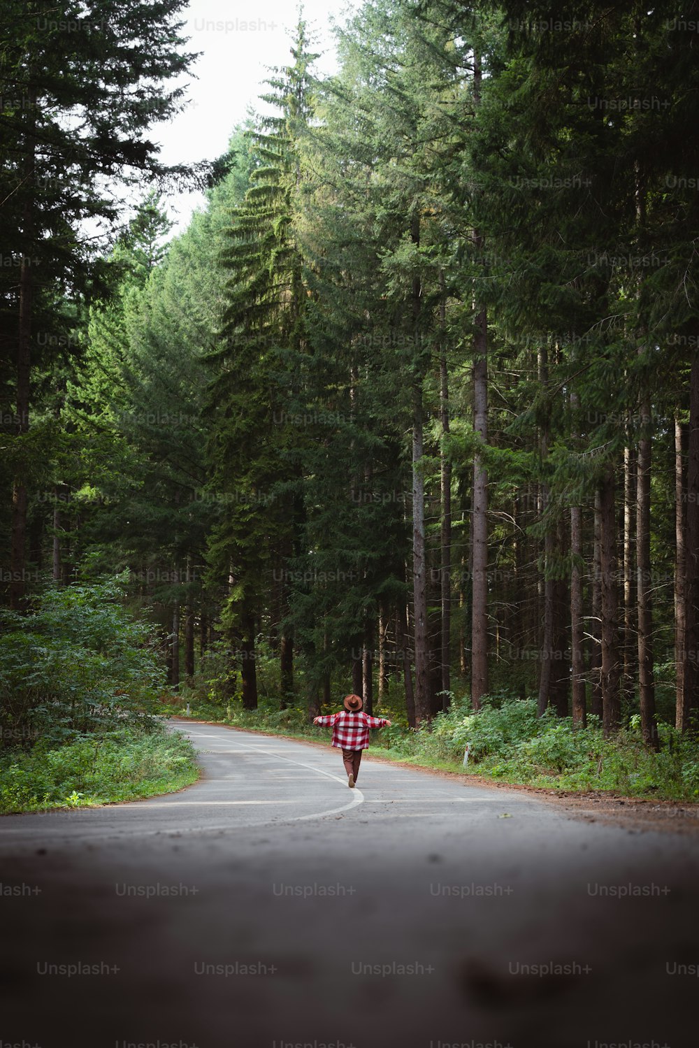 a person walking down a road in the middle of a forest