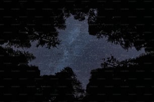 a view of the night sky through some trees