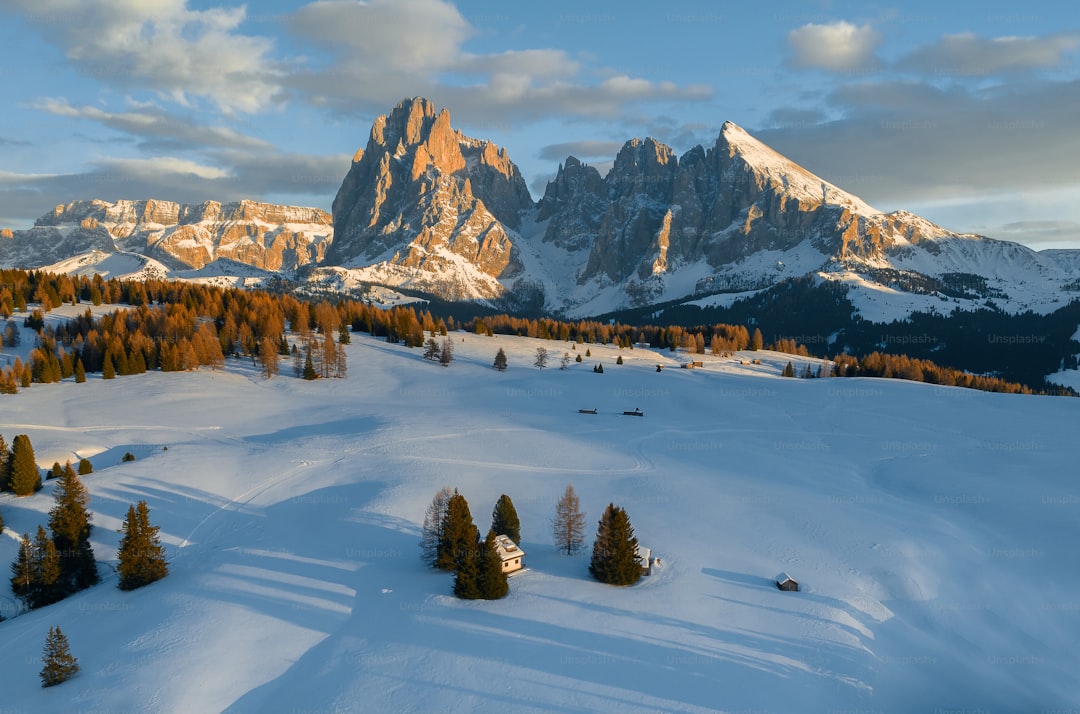 a snow covered mountain range with trees in the foreground