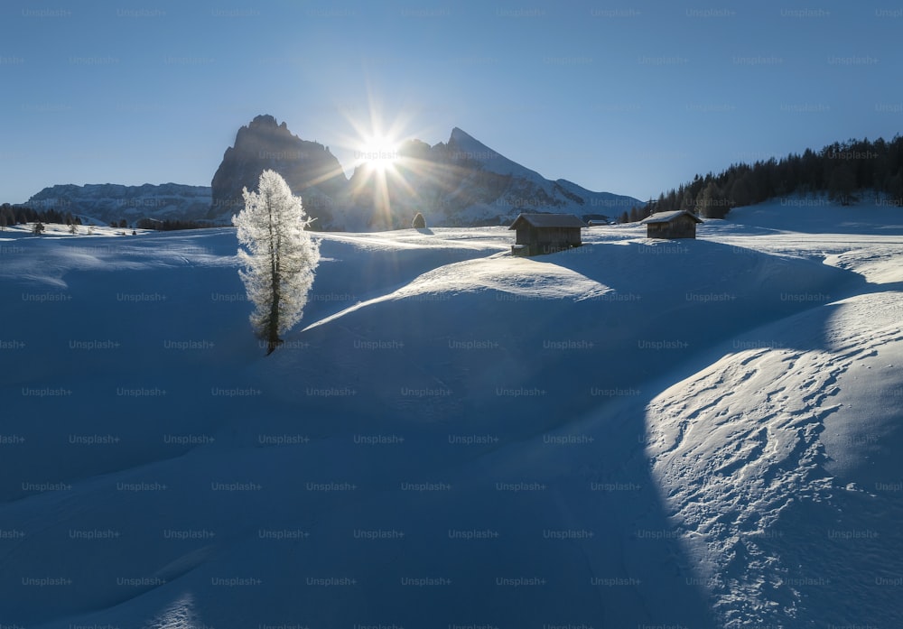 El sol brilla intensamente sobre un paisaje nevado
