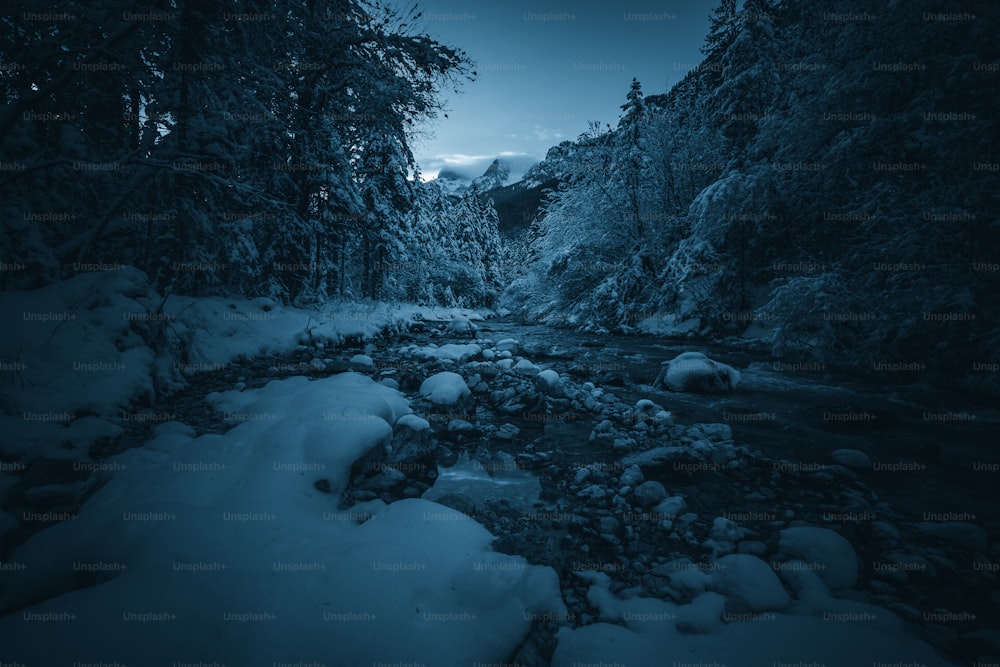 a river running through a forest covered in snow