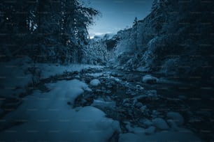 un río que corre a través de un bosque cubierto de nieve